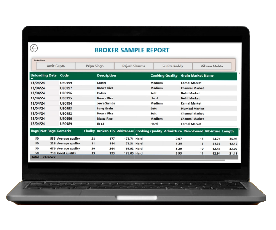 Export Order Analytics